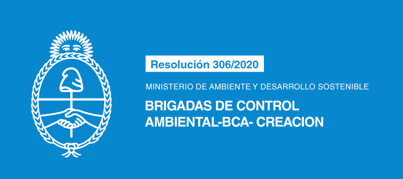 MINISTERIO DE AMBIENTE Y DESARROLLO SOSTENIBLE: BRIGADAS DE CONTROL AMBIENTAL-BCA- CREACION